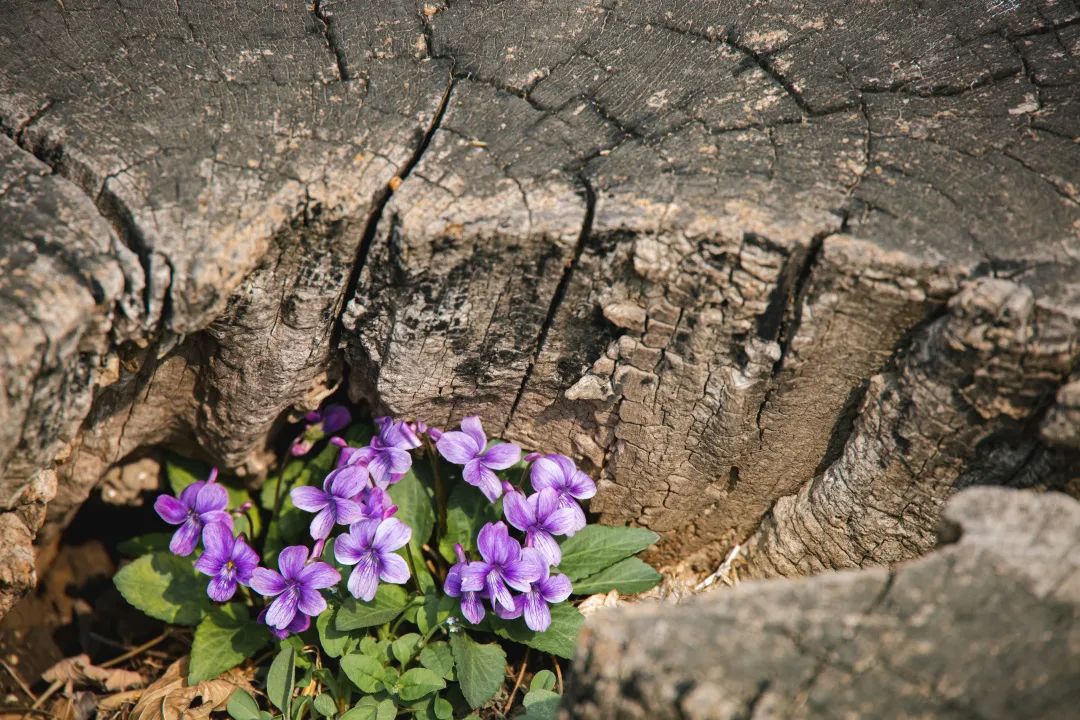 497ab241e3be4fb5b612f1c03cc90142.jpg