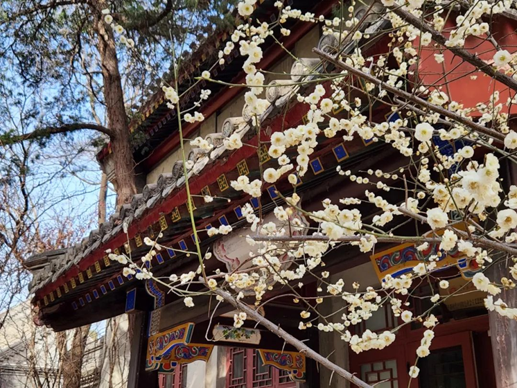 a71fffb61d0a472fb3cbf7170d689e4b.png